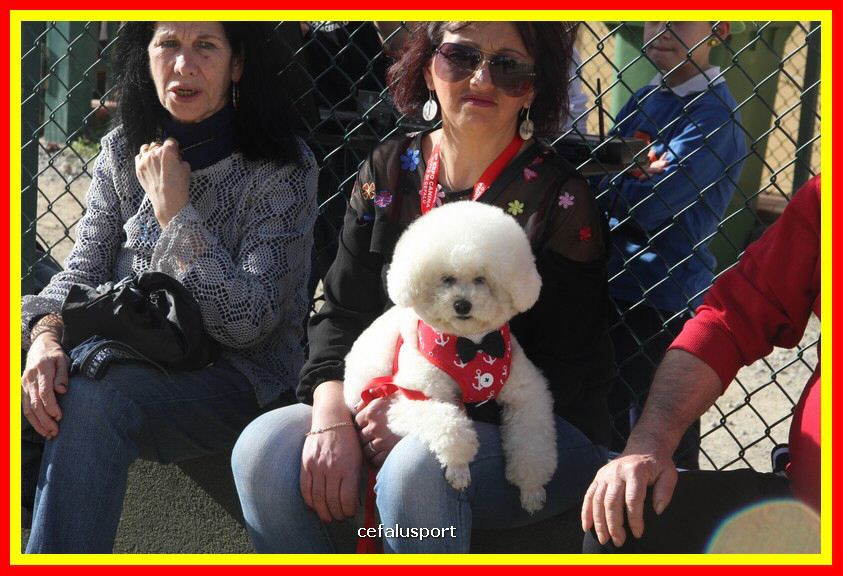 180311 mostra_canina 081.jpg
